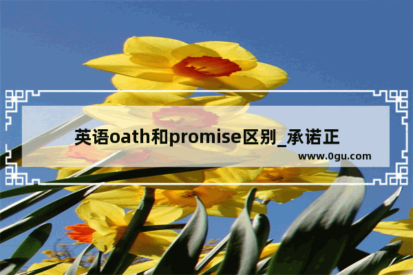 英语oath和promise区别_承诺正能量的句子简短英语