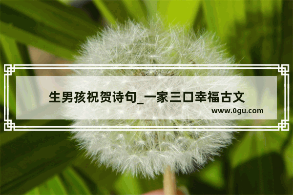 生男孩祝贺诗句_一家三口幸福古文