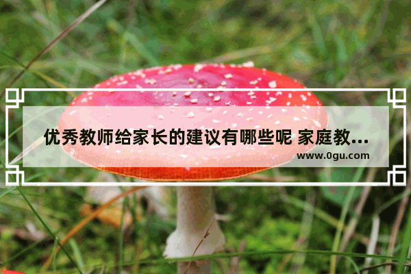 优秀教师给家长的建议有哪些呢 家庭教育正能量励志句子