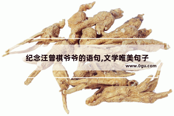 纪念汪曾祺爷爷的语句,文学唯美句子