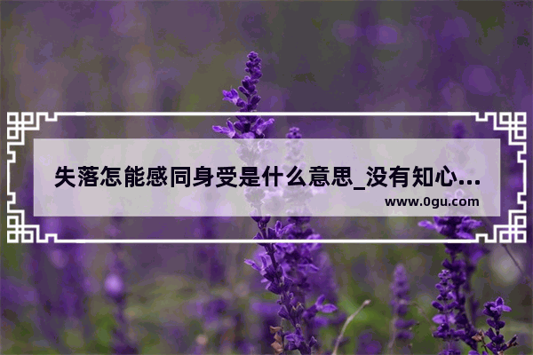 失落怎能感同身受是什么意思_没有知心人陪伴失落的句子