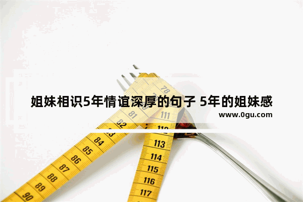 姐妹相识5年情谊深厚的句子 5年的姐妹感情短句子