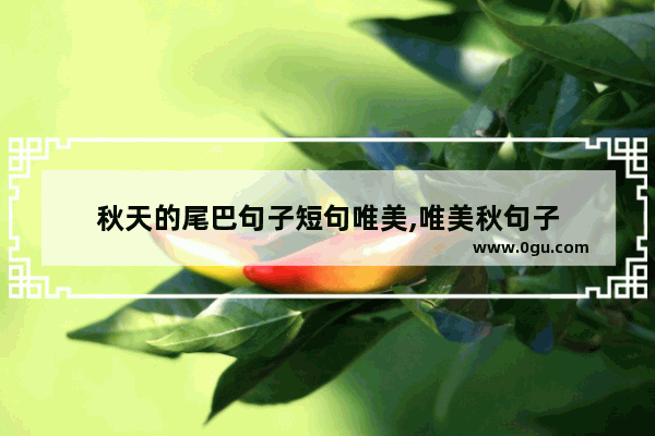 秋天的尾巴句子短句唯美,唯美秋句子