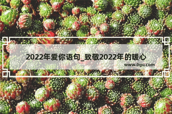 2022年爱你语句_致敬2022年的暖心句子