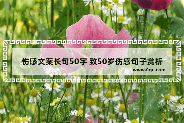 伤感文案长句50字 致50岁伤感句子赏析