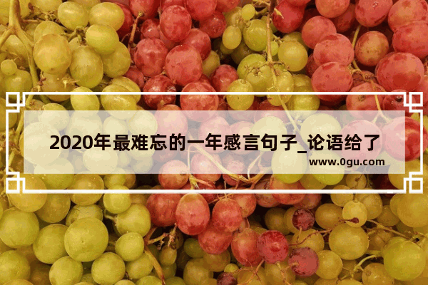 2020年最难忘的一年感言句子_论语给了我们怎样的启示