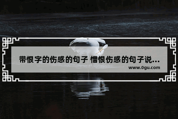 带恨字的伤感的句子 憎恨伤感的句子说说心情