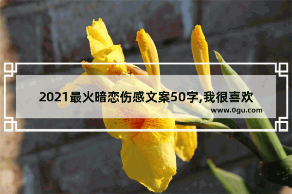 2021最火暗恋伤感文案50字,我很喜欢你 伤感句子