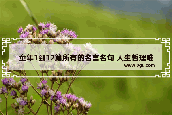 童年1到12篇所有的名言名句 人生哲理唯美句子说说