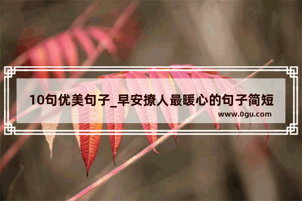 10句优美句子_早安撩人最暖心的句子简短