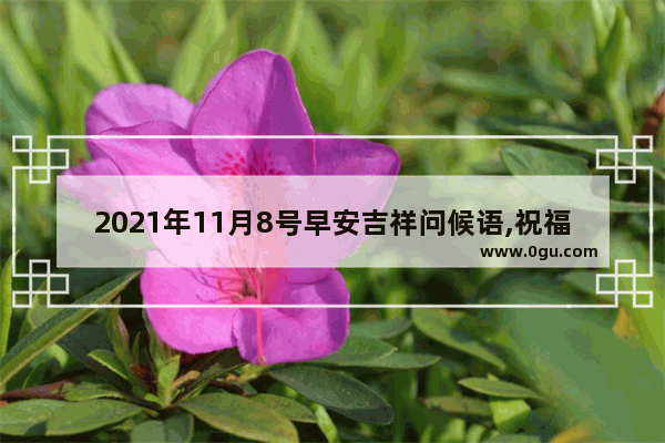 2021年11月8号早安吉祥问候语,祝福你天天快乐的句子简短