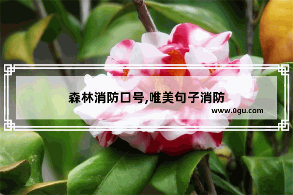 森林消防口号,唯美句子消防