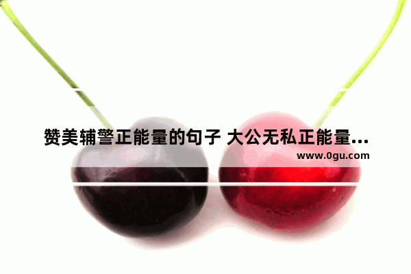 赞美辅警正能量的句子 大公无私正能量的句子