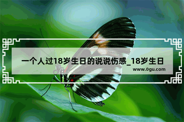 一个人过18岁生日的说说伤感_18岁生日快乐朋友圈怎么评论