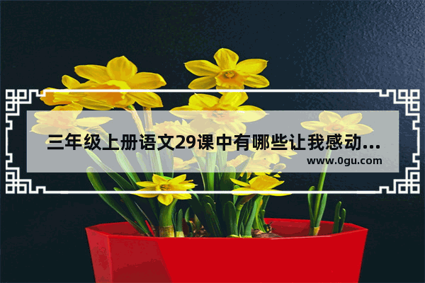 三年级上册语文29课中有哪些让我感动的句子?为什么,孩子喜欢感动的动作的句子