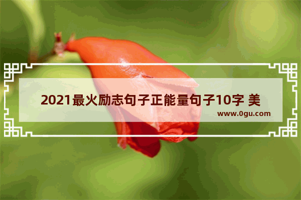 2021最火励志句子正能量句子10字 美好积极正能量的句子短句