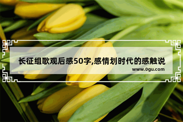 长征组歌观后感50字,感情划时代的感触说说句子