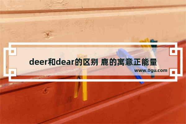 deer和dear的区别 鹿的寓意正能量句子英文