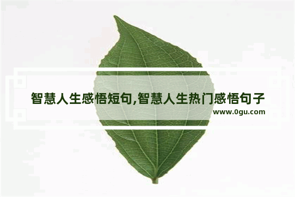 智慧人生感悟短句,智慧人生热门感悟句子