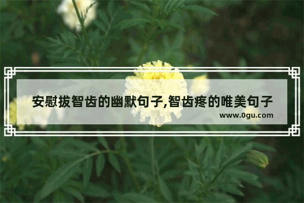 安慰拔智齿的幽默句子,智齿疼的唯美句子