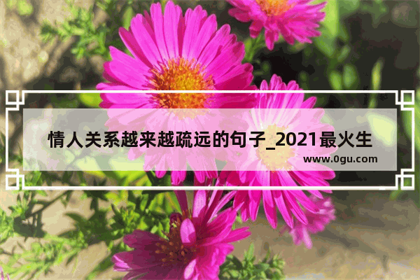 情人关系越来越疏远的句子_2021最火生日朋友圈文案短句朋友送的礼物陪语句