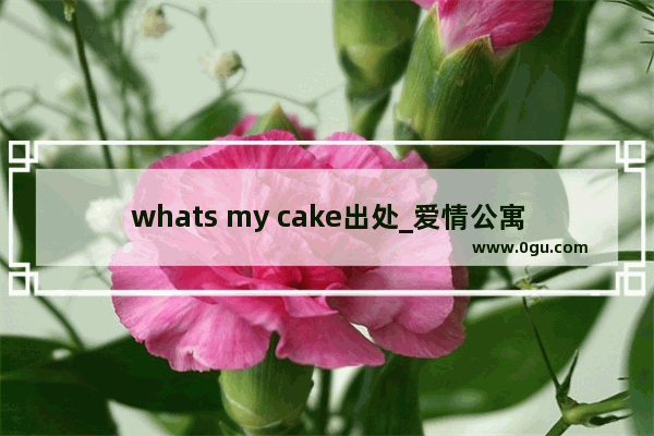 whats my cake出处_爱情公寓里羽墨说不再年轻第几集