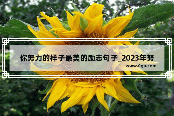 你努力的样子最美的励志句子_2023年努力奋斗的句子