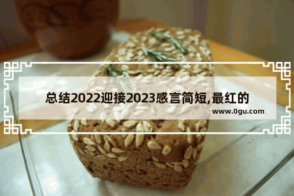 总结2022迎接2023感言简短,最红的生活感悟句子