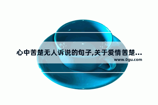 心中苦楚无人诉说的句子,关于爱情苦楚的句子说说