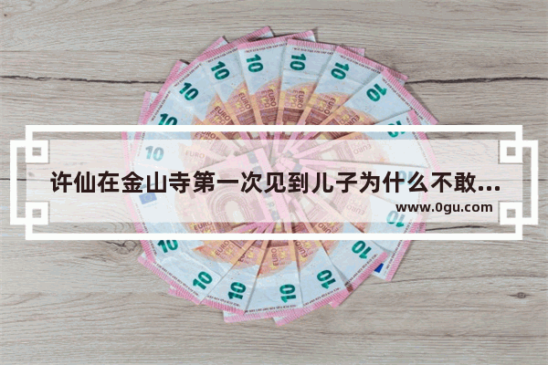 许仙在金山寺第一次见到儿子为什么不敢相认_马守成和秉坤相认了么