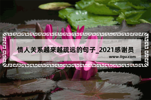 情人关系越来越疏远的句子_2021感谢员工的支持与信任的句子