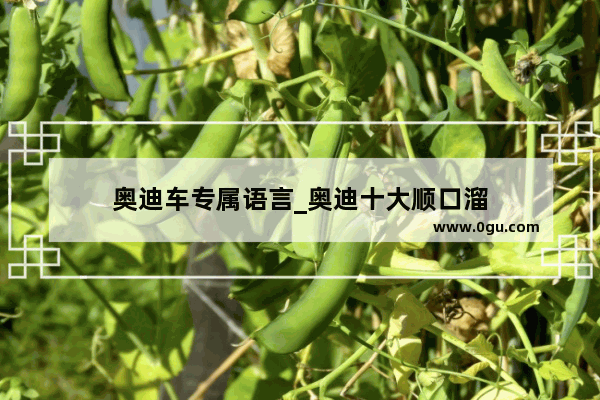 奥迪车专属语言_奥迪十大顺口溜