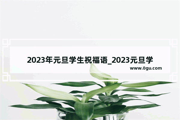 2023年元旦学生祝福语_2023元旦学生祝福语