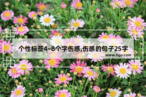 个性标签4~8个字伤感,伤感的句子25字以内女生