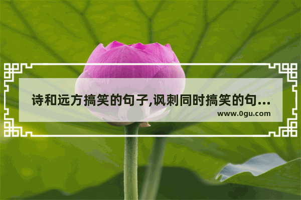 诗和远方搞笑的句子,讽刺同时搞笑的句子短句