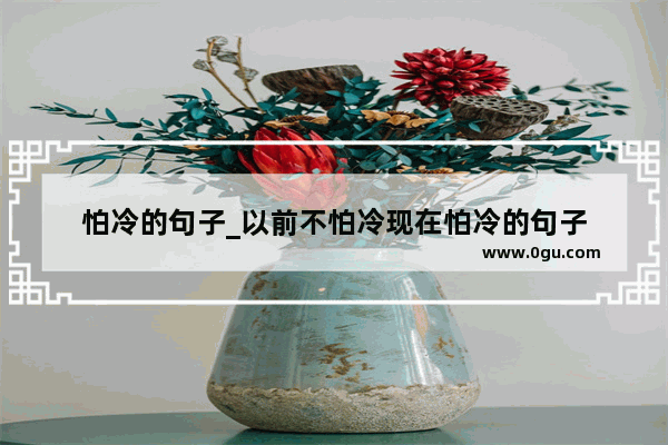 怕冷的句子_以前不怕冷现在怕冷的句子