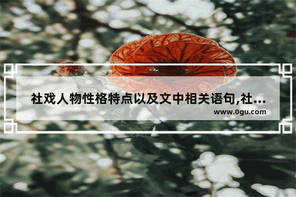 社戏人物性格特点以及文中相关语句,社戏中喜欢的人物以及句子