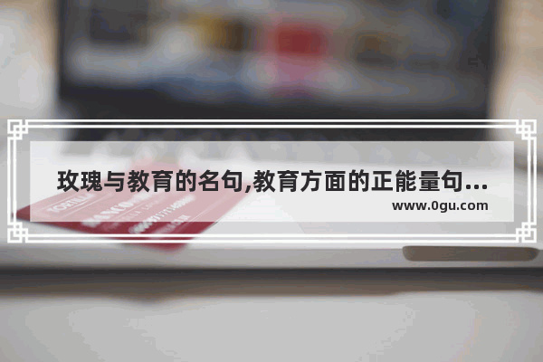 玫瑰与教育的名句,教育方面的正能量句子摘抄