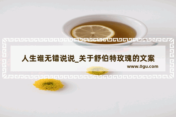 人生谁无错说说_关于舒伯特玫瑰的文案