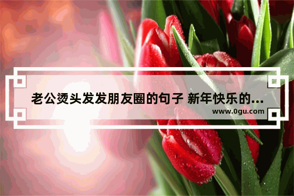 老公烫头发发朋友圈的句子 新年快乐的祝福句子老公