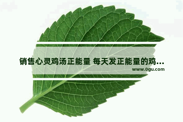 销售心灵鸡汤正能量 每天发正能量的鸡汤句子