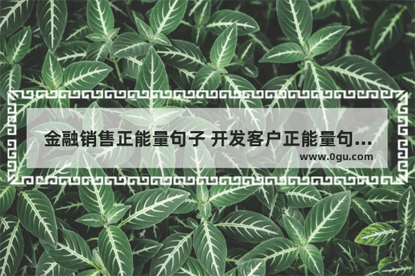 金融销售正能量句子 开发客户正能量句子可++