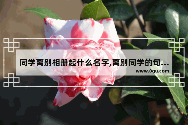 同学离别相册起什么名字,离别同学的句子唯美