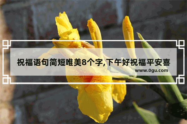 祝福语句简短唯美8个字,下午好祝福平安喜乐的句子