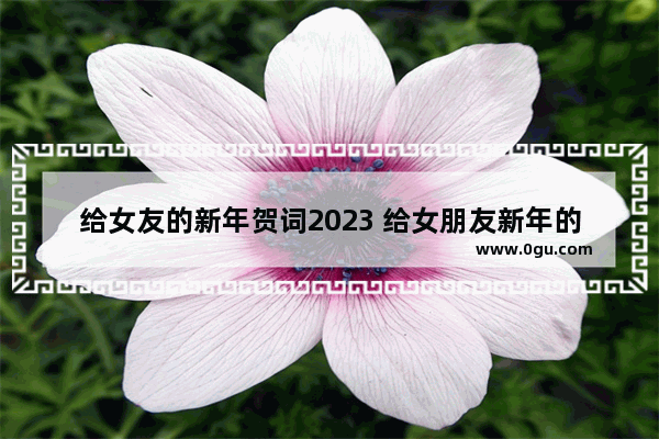 给女友的新年贺词2023 给女朋友新年的祝福句子