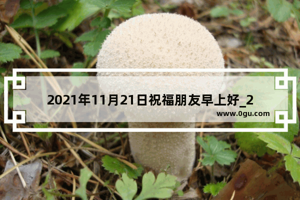 2021年11月21日祝福朋友早上好_2021年12月3日早晨对朋友问候