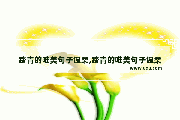 踏青的唯美句子温柔,踏青的唯美句子温柔