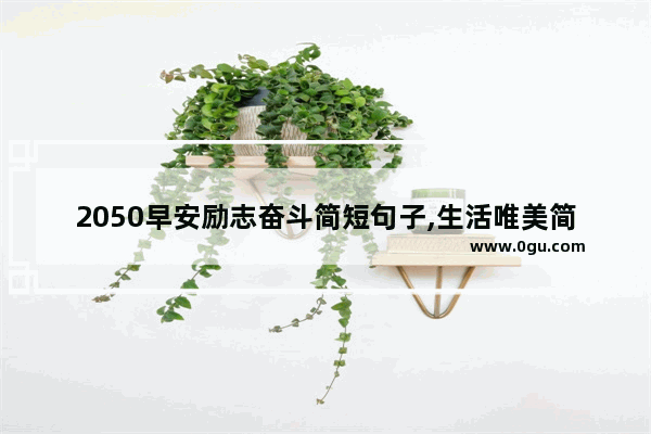 2050早安励志奋斗简短句子,生活唯美简短的句子励志