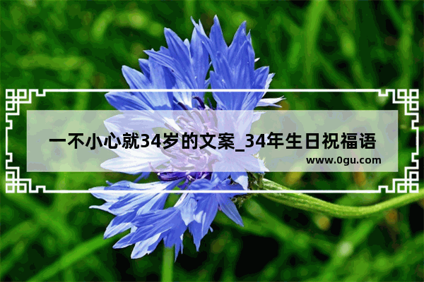 一不小心就34岁的文案_34年生日祝福语