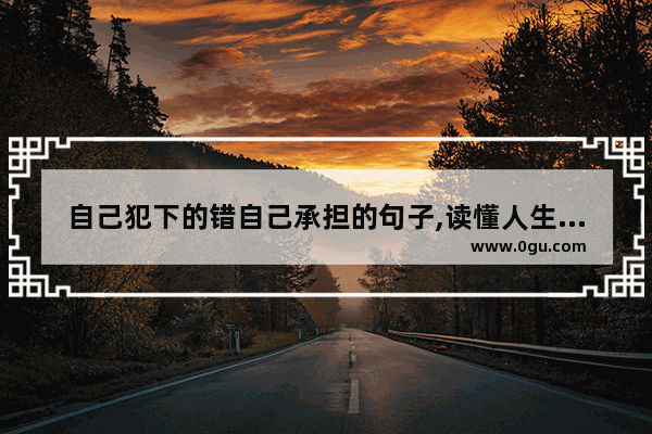 自己犯下的错自己承担的句子,读懂人生不再抱怨句子赏析